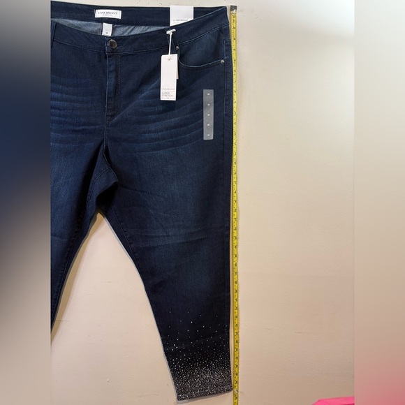 Lane Bryant - Picture 7 of 11